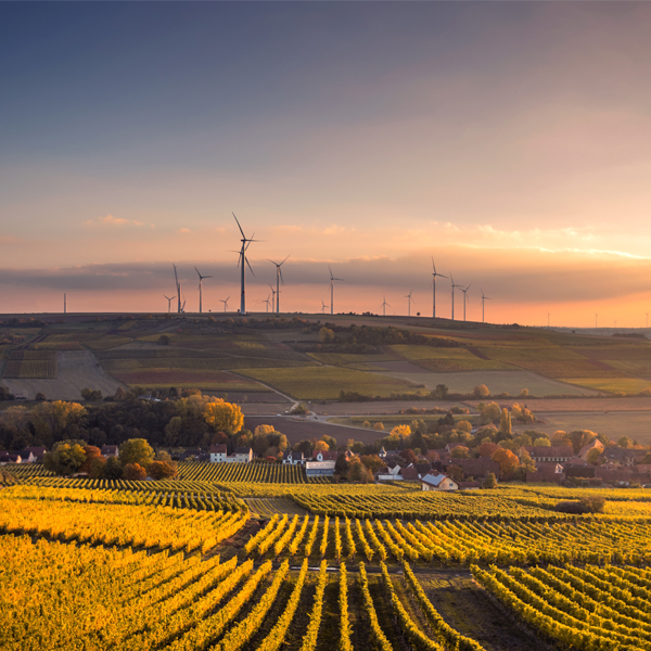 �Ĵ����ǽ�����������Ȼ����Դ